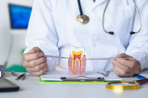 Best Emergency Gum Pain Relief  in South Bend, WA